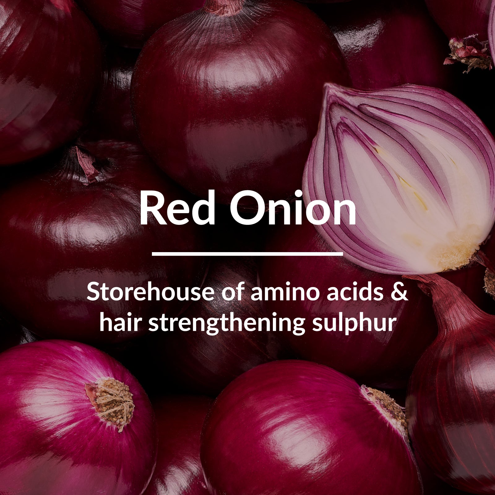 Red Onion Hair-Fall Control* Shampoo