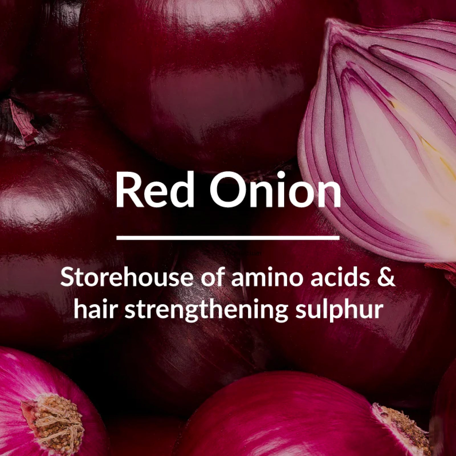 Red Onion Hair-Fall Control Hair Oil