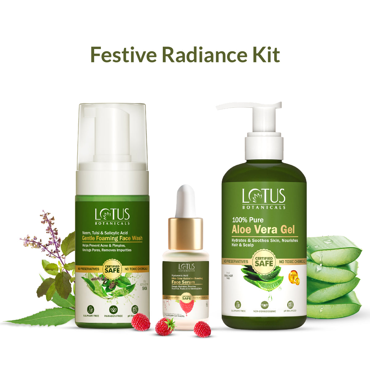 Festive Radiance Kit