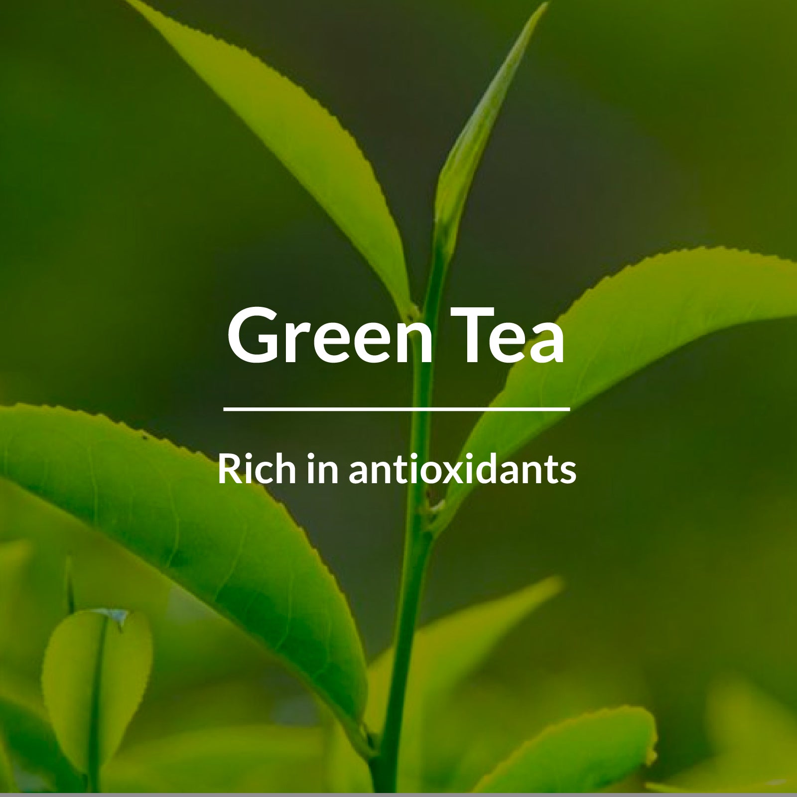 Green Tea HydraDetox Combo